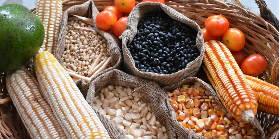 Corn and other Mexican staples