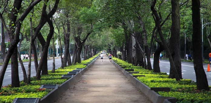 Reforma Avenue by Chapultepec Park path, jogger, trees, park, avenue